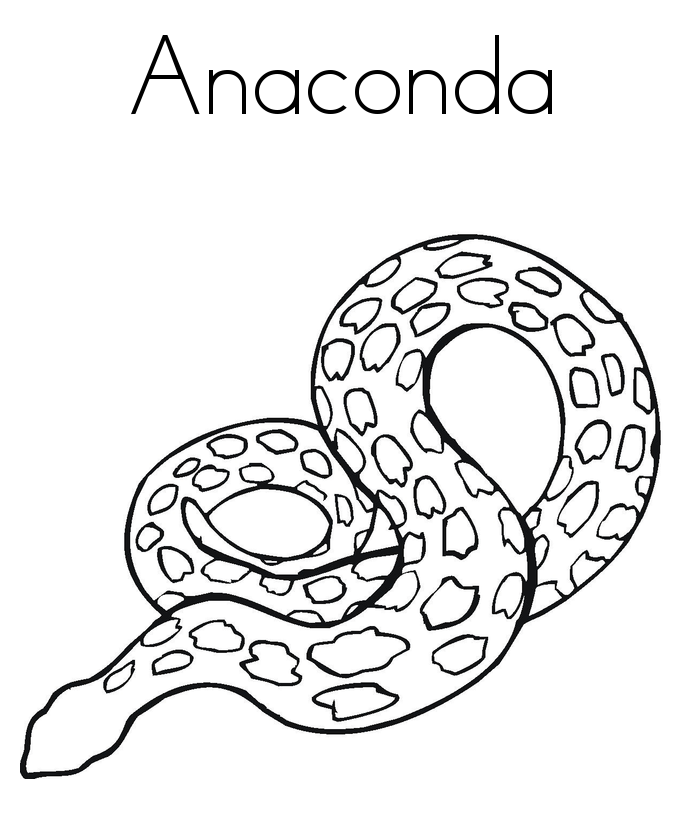 Anaconda coloring book