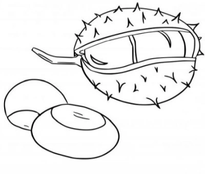 Kolorowanka kasztany